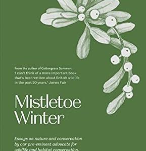 Mistletoe Winter