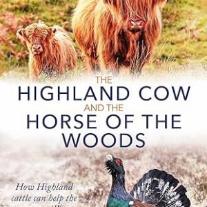 The Highland Cow and The Horse of The Woods